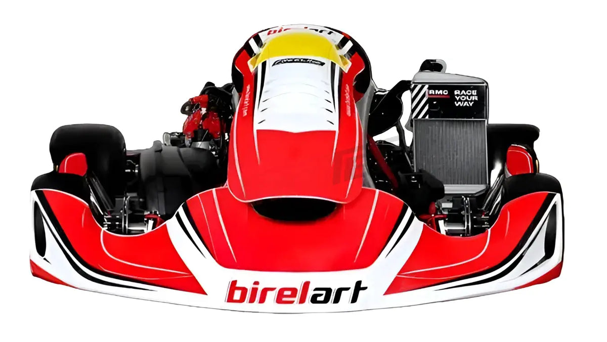 Birel Kart DD2 S19 - Birel Kart DD2 S19