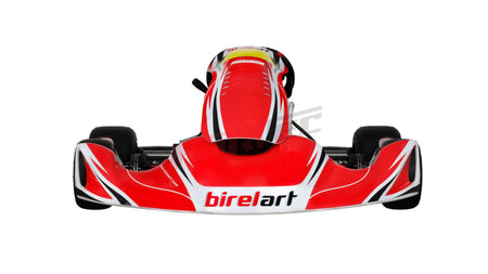 Birel Kart KZ - Birel Art S19 PA