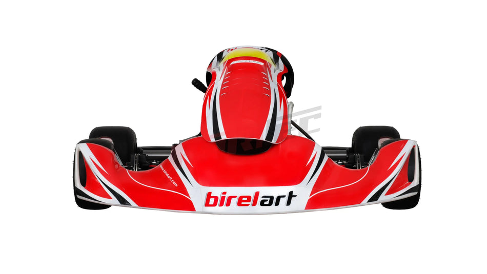 Birel Kart KZ - Birel Art S19 PA