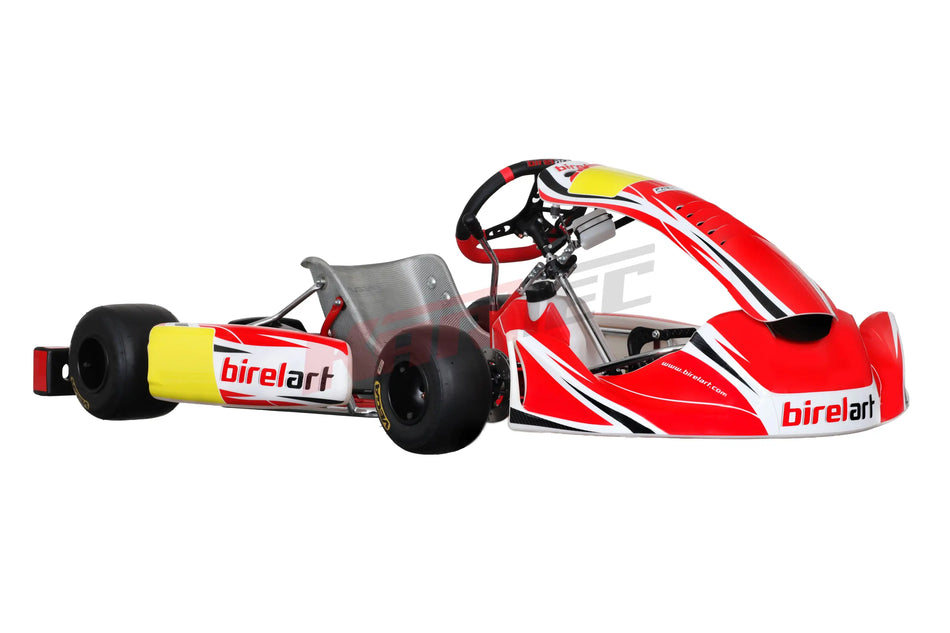 Birel Kart KZ - Birel Art S19 PA