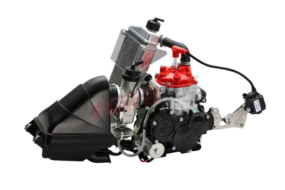 Rotax Junior Max Evo2 - Rotax Junior Max Evo2